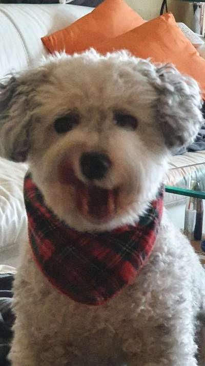 Her mit dem Grimassen-Beitrag-Bild