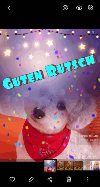 Fotochallenge Nr. 62 Romantische Momente-Beitrag-Bild