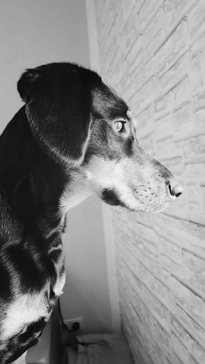 Foto-Challenge 76: Foto in Schwarz-Weiss-Beitrag-Bild