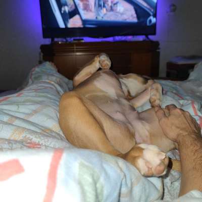 Fotochallenge Nr.65-Beitrag-Bild