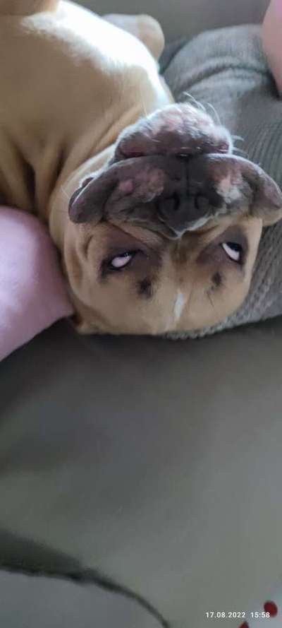 Handy-foto Challange nr. 11-Beitrag-Bild