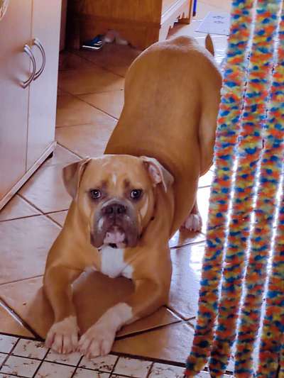 Lieblingsbild-Beitrag-Bild