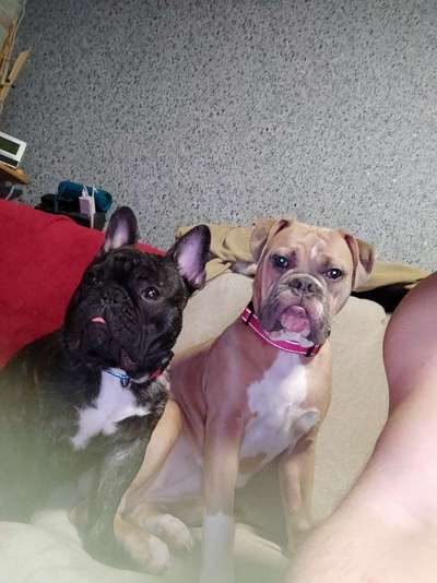 Lieblingsbild-Beitrag-Bild