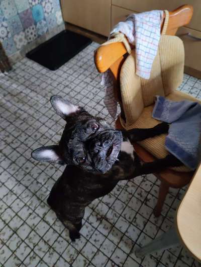 Handy-foto Challange nr. 11-Beitrag-Bild