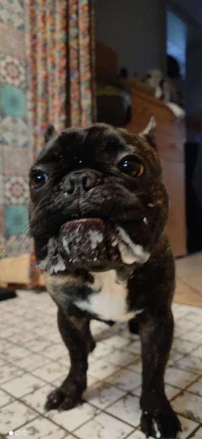 Lieblingsbild-Beitrag-Bild