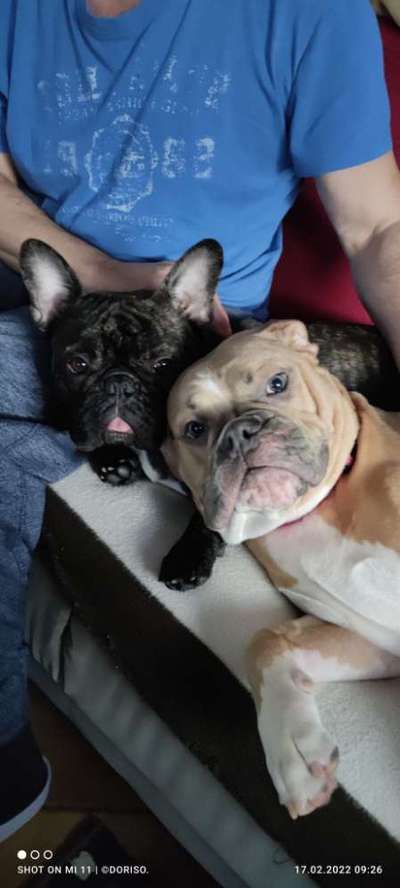 Lieblingsbild-Beitrag-Bild