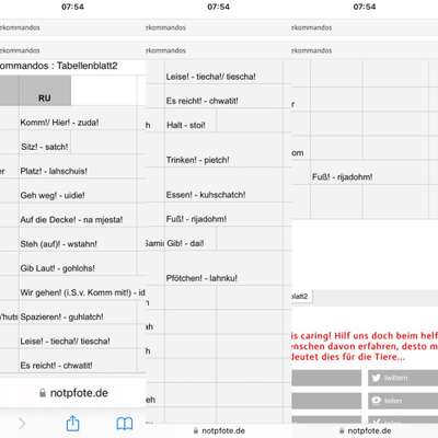 TierschutzhundeStammtisch🐕-Beitrag-Bild