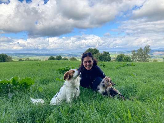 TierschutzhundeStammtisch🐕-Beitrag-Bild