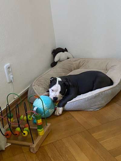 Ängstliche Menschen-Beitrag-Bild