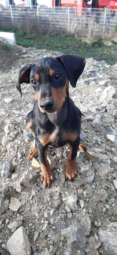 Foto Challenge 3-Beitrag-Bild