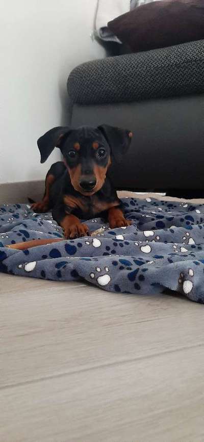 Challenge 22: "Mein erster Tag im neuen Zuhause"-Beitrag-Bild