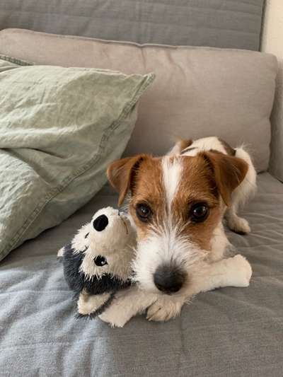 Fotochallenge Nr. 62 Romantische Momente-Beitrag-Bild