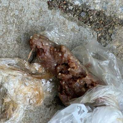 Giftköder-Giftköder Hörnle Simmozheim-Bild