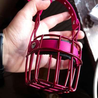 %{de_profession_title}-Maulkorb Anpassung und Beratung-Bild