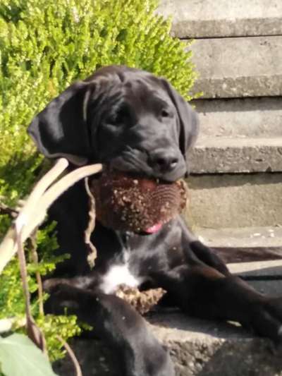 Lieblingsbild-Beitrag-Bild