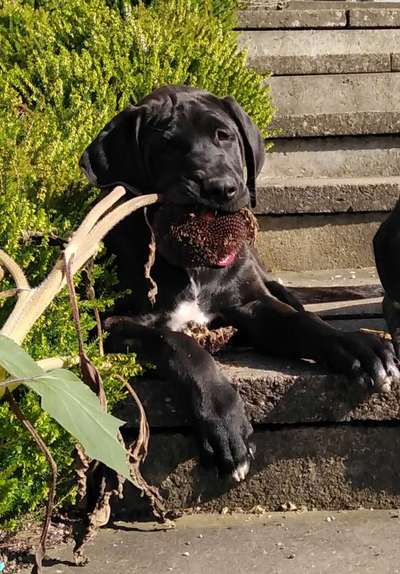 Lieblingsbild-Beitrag-Bild