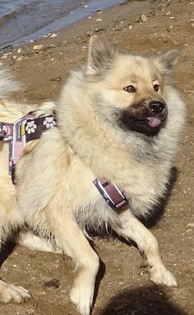 "Die eingefangene Magie des Augenblicks"-Beitrag-Bild