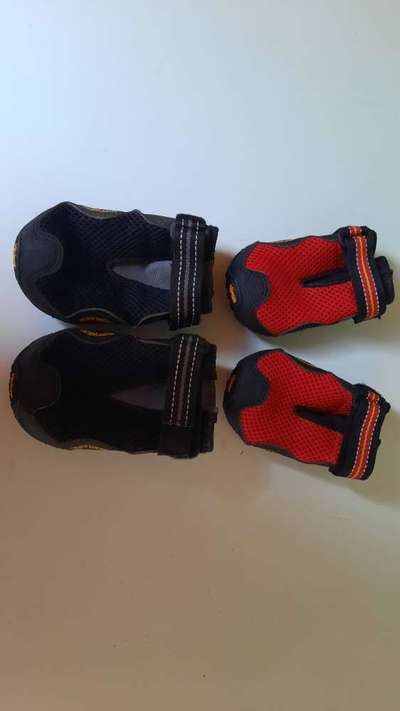 Pfotenschutzschuhe-Beitrag-Bild