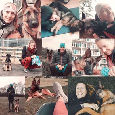 21. Collage Challenge 
Du und dein Hund-Beitrag-Bild