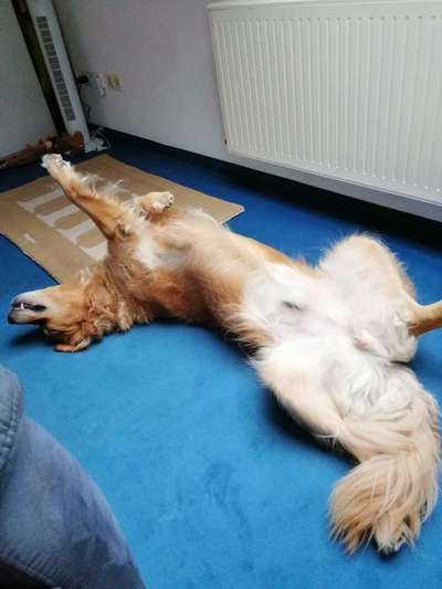 Die unbequemsten und lustigsten Schlafpositionen-Beitrag-Bild