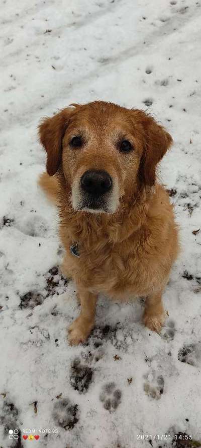 Hovawarts-Beitrag-Bild