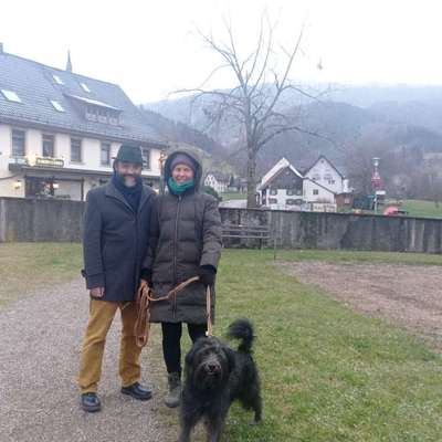 Hundetreffen-Entspannte Spielrunde im Dreisamtal gesucht-Bild