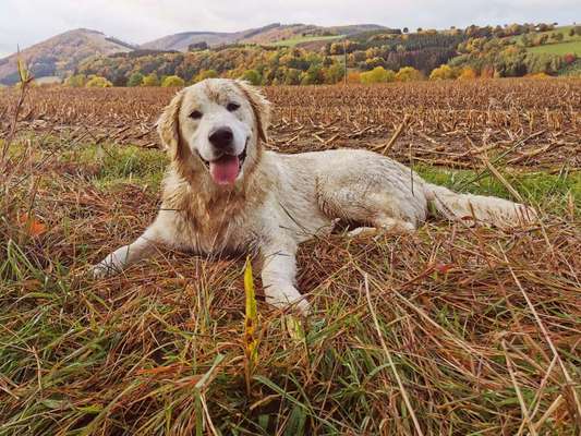 Herbst Bilder-Beitrag-Bild