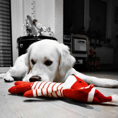 6. Farben Foto Challenge: "ColourKey Effekt"-Beitrag-Bild