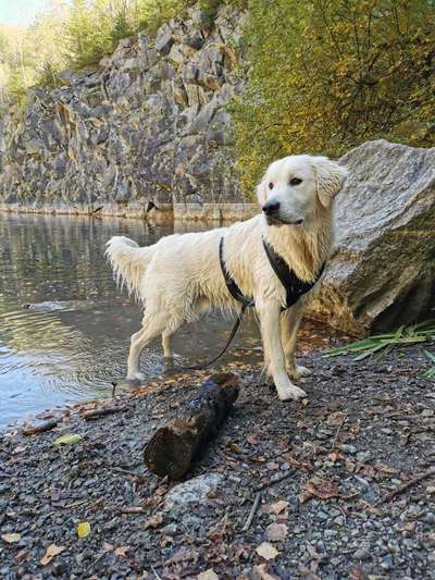 Herbst Bilder-Beitrag-Bild