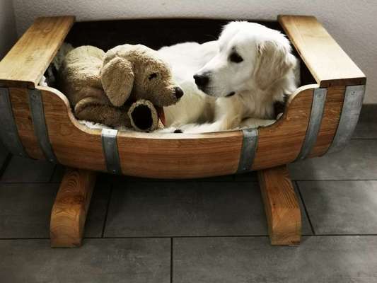 121. Fotochallenge-Beitrag-Bild