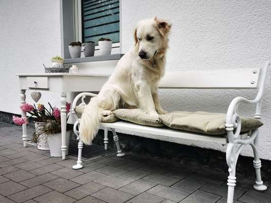 17. Farben Foto Challenge: Pastellfarben-Beitrag-Bild