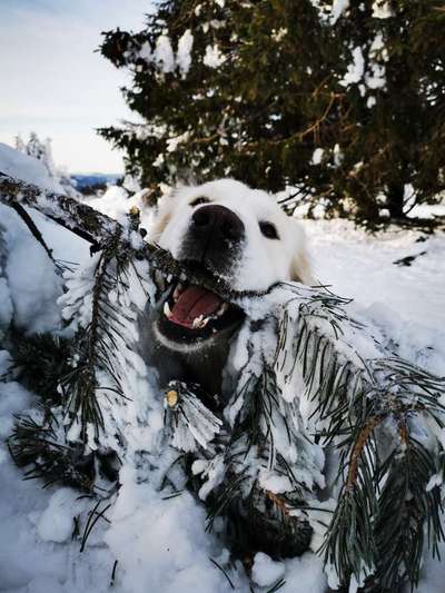 27. Handy Fotochallenge-Beitrag-Bild