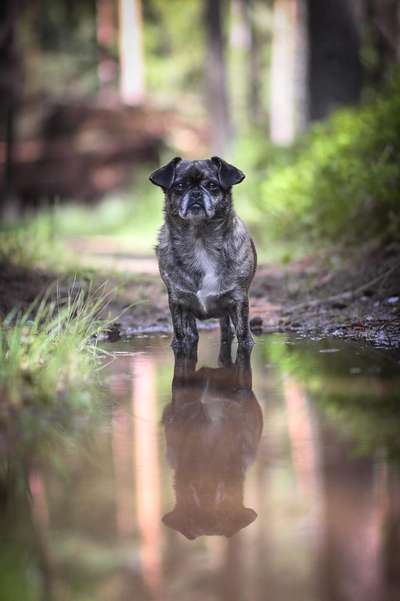 Erstes Bild-Beitrag-Bild