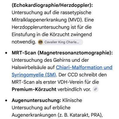 Qualzucht-Verbot bei der Welthundeausstellung in Österreich?-Beitrag-Bild