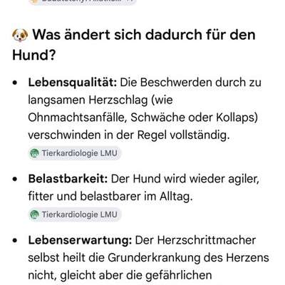 Herzschrittmacher-Beitrag-Bild