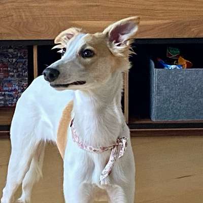 Gabriele's Profilbild