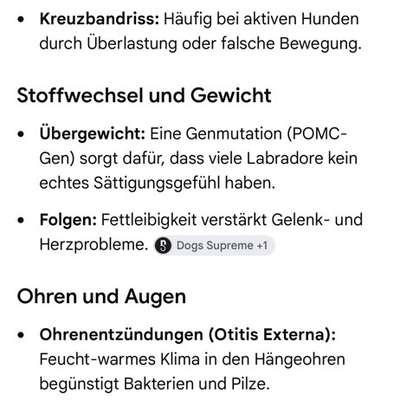 Qualzucht-Verbot bei der Welthundeausstellung in Österreich?-Beitrag-Bild