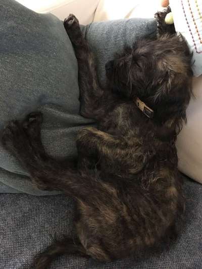 Die unbequemsten und lustigsten Schlafpositionen-Beitrag-Bild