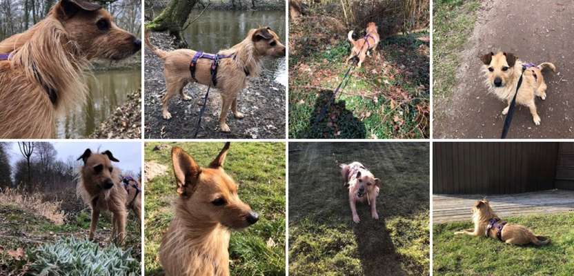 Doppelgänger gesucht !-Beitrag-Bild