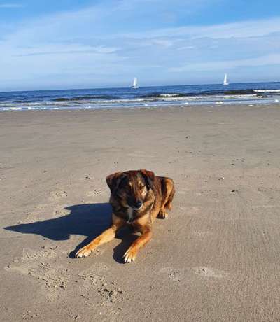 Theos Fotochallange Nummer 4-Beitrag-Bild