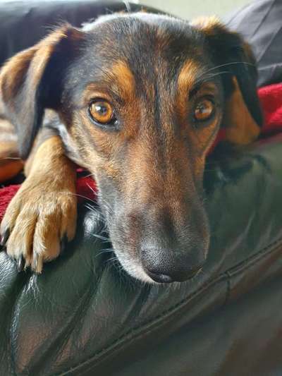 Fotochallange Nr. 57     PORTRÄT.   Beendet!!!!!!!!-Beitrag-Bild