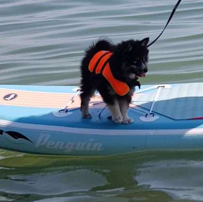 FOTOCHALLANGE NR.71 BADEFREUDE-Beitrag-Bild