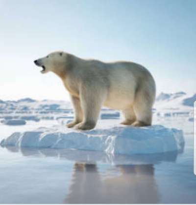 Wie heißt dein Hund?-Beitrag-Bild