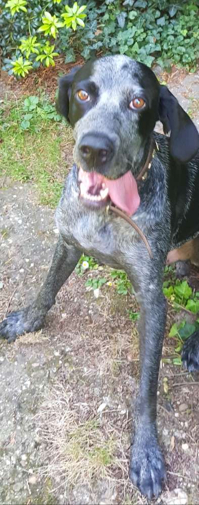 Handyfoto challenge Nr. 13: Waschlappen raus!-Beitrag-Bild