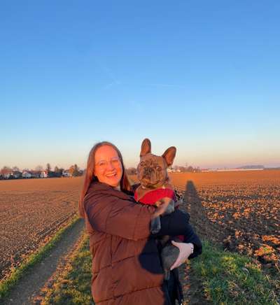 Hundetreffen-Gemeinsame Gassirunde-Bild