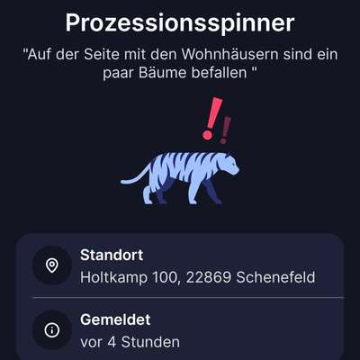 Giftköder-Prozessionsspinner-Bild