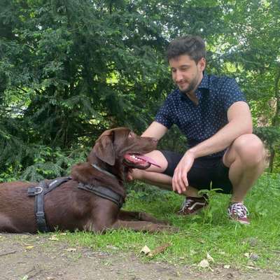 Hundetreffen-Spazieren an der Halde-Profilbild