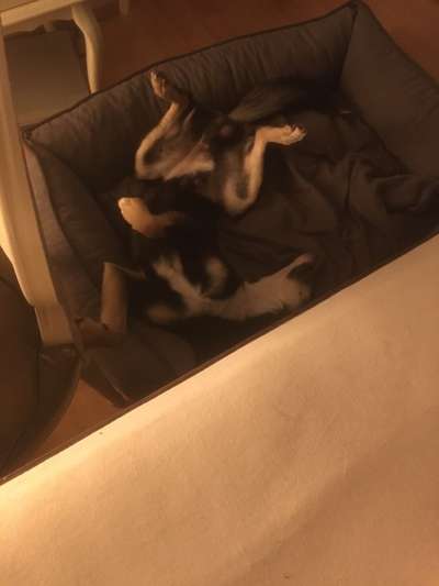 Die unbequemsten und lustigsten Schlafpositionen-Beitrag-Bild