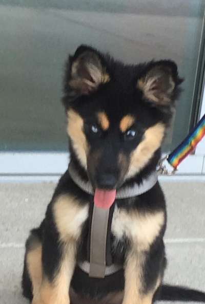 Foto Challenge 3-Beitrag-Bild