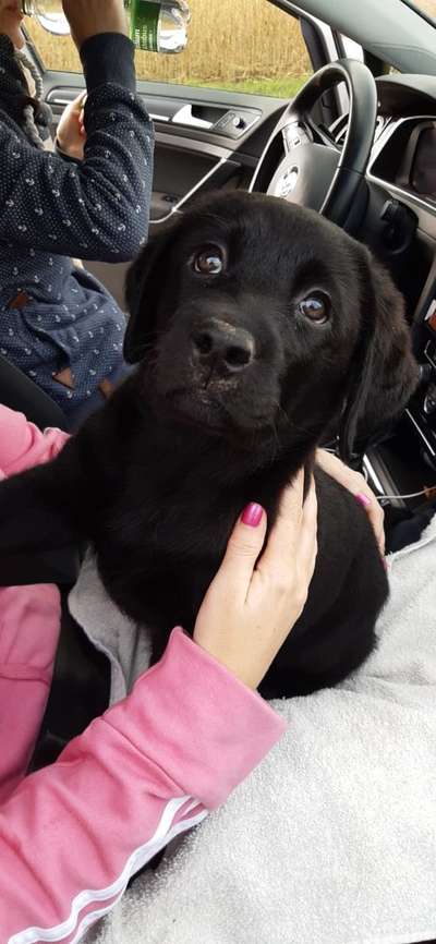 23. Collagen-Challenge: Portraits-Beitrag-Bild